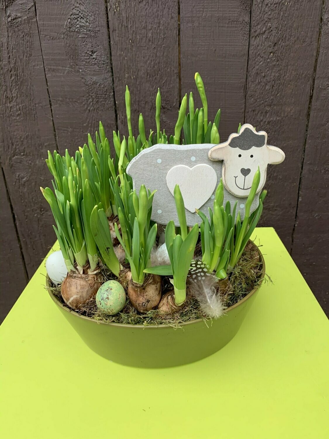 Paasschaal met narcissen