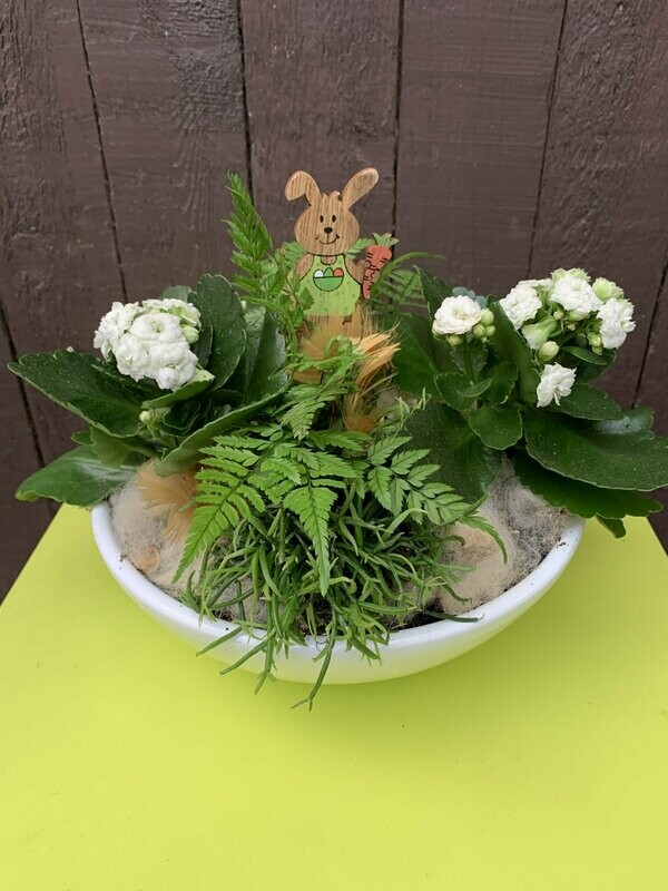 Paasplantenschaal