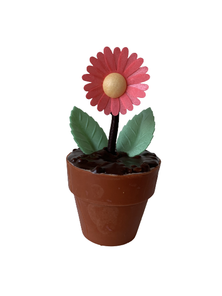 Chocolade Bloempotje Chocolade Bloempotje