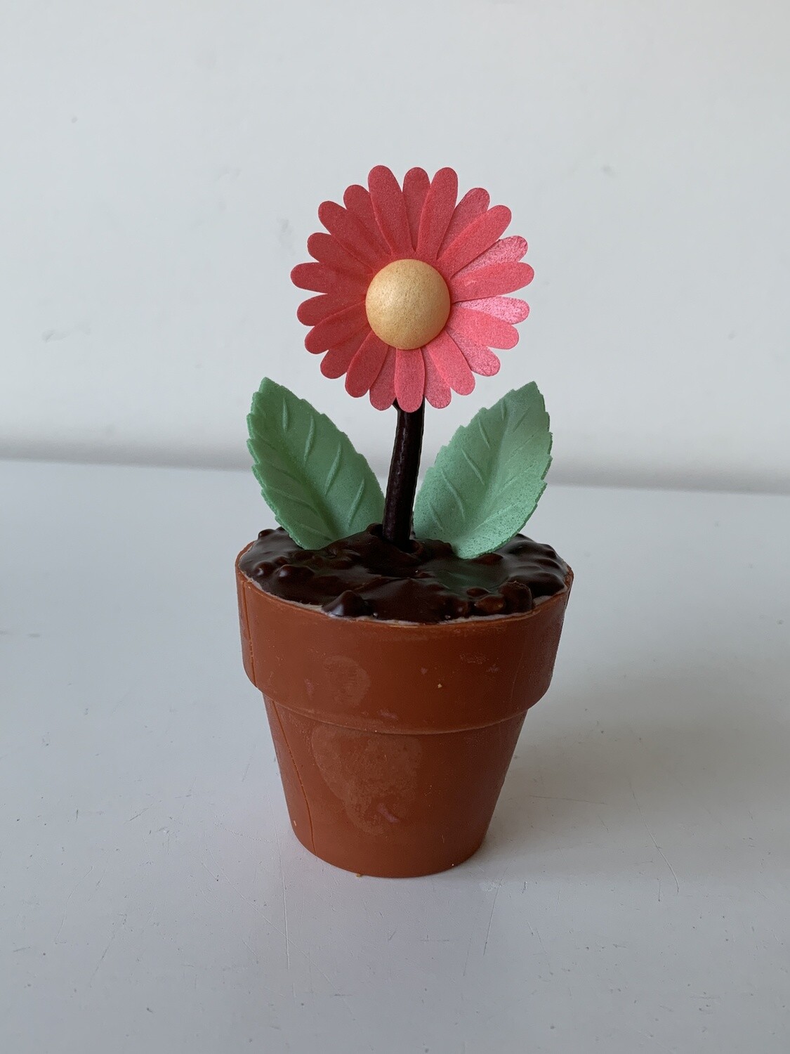 CHOCOLADE BLOEMPOTJE BRUIN CHOCOLADE BLOEMPOTJE BRUIN