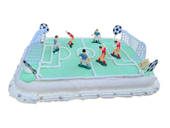 Voetbalveld IJstaart v.a. 8p.