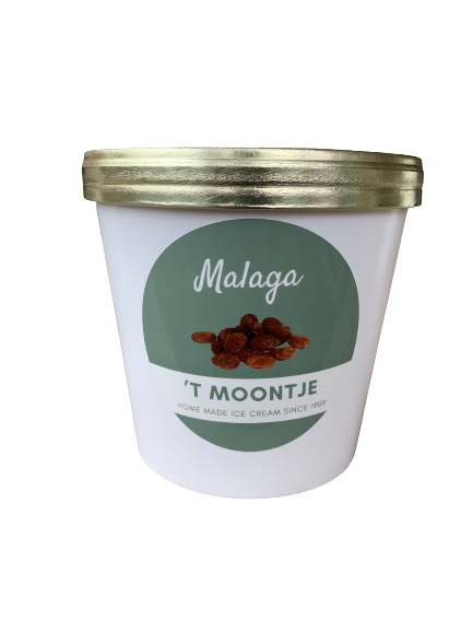 Malagaroomijs