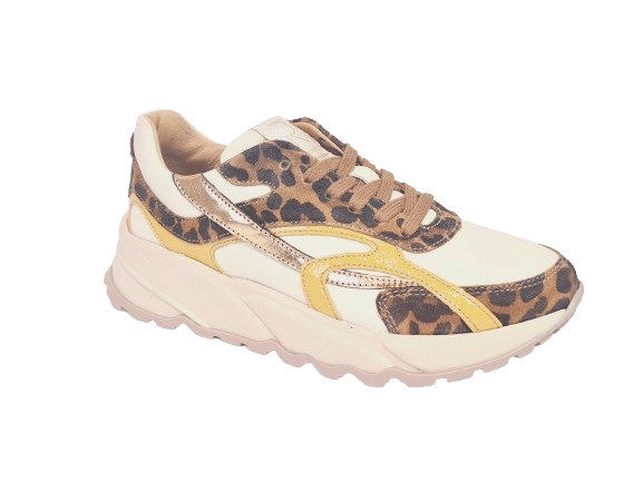Romagnoli Sneaker 5389R063