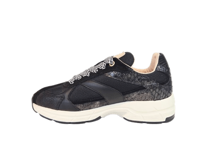 Shabbies Sneaker CELIA RACE Black SH001009953W
