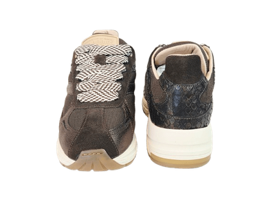 Shabbies Sneaker CELIA RACE Brown SH001009853W