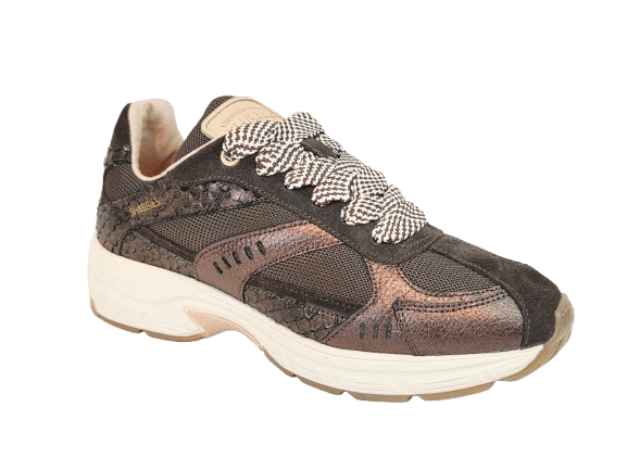 Shabbies Sneaker CELIA RACE Brown SH001009853W