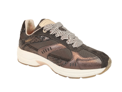 Shabbies Sneaker CELIA RACE Brown SH001009853W