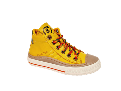 Bana & Co 23232501 Bana & Co 23232501