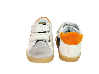 Falcotto Sneaker ALNOITE