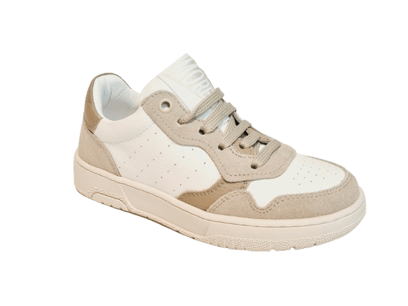 Morelli Sneaker M4B9-53031