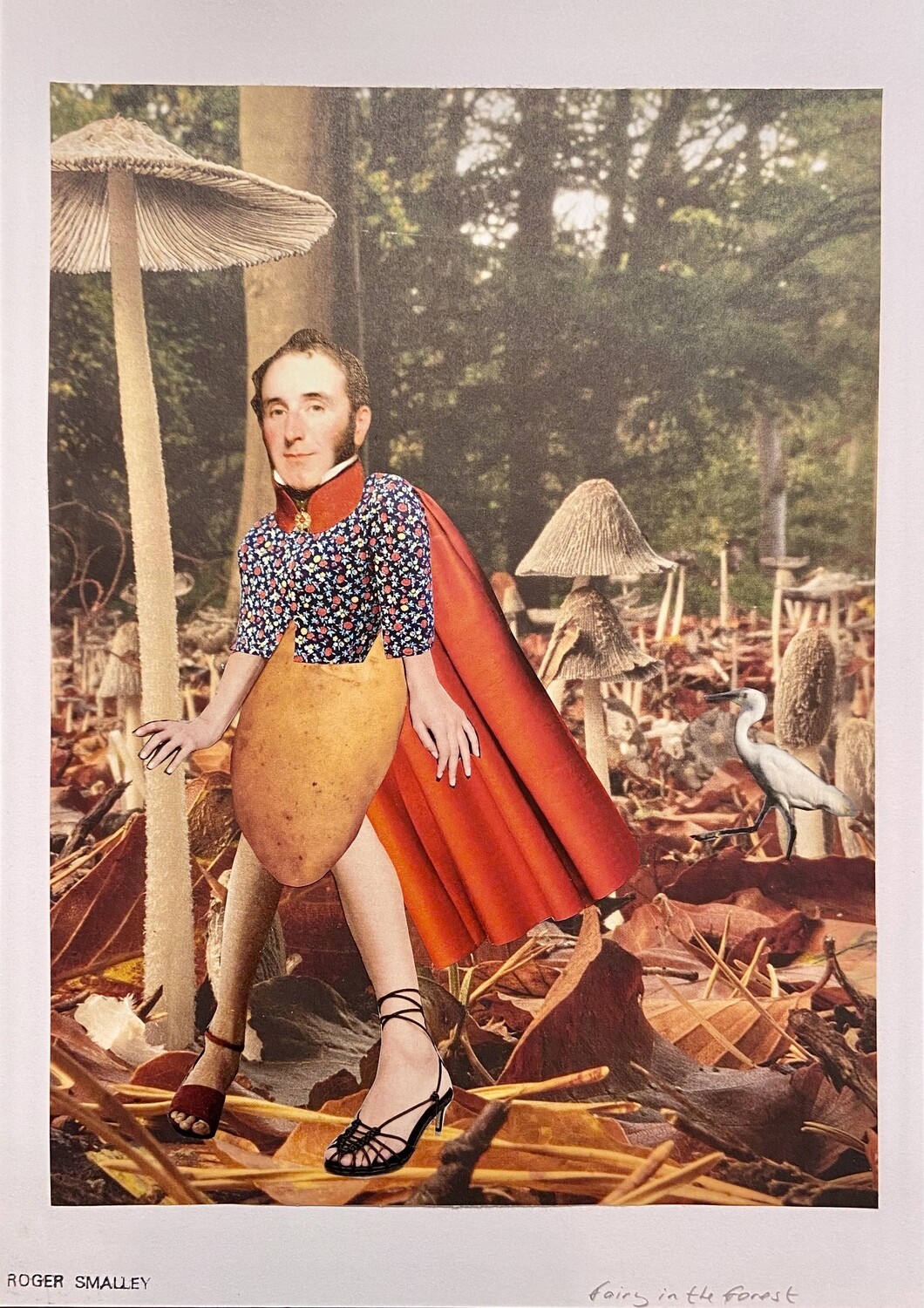 The Potato Fairy in the Forest