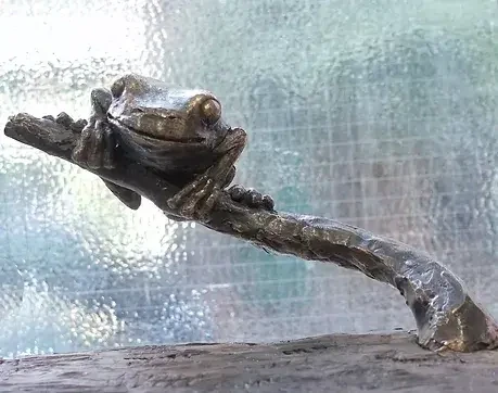 Tree Frog