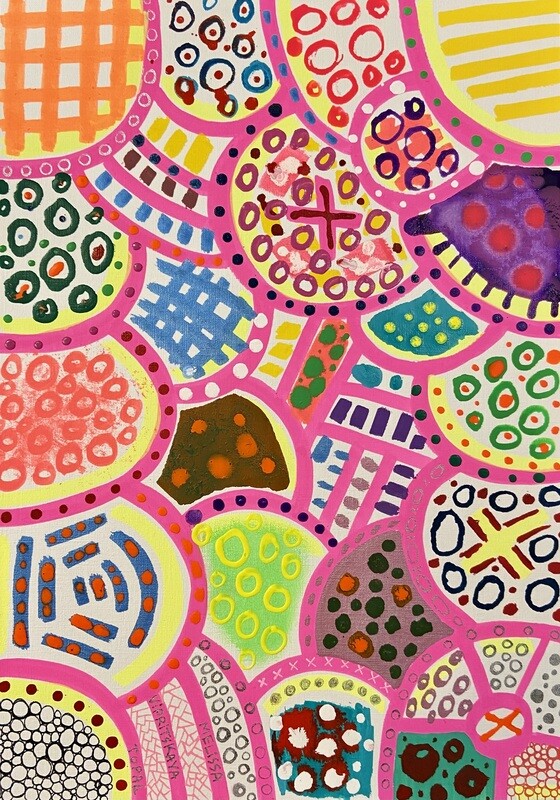 Pink Segments