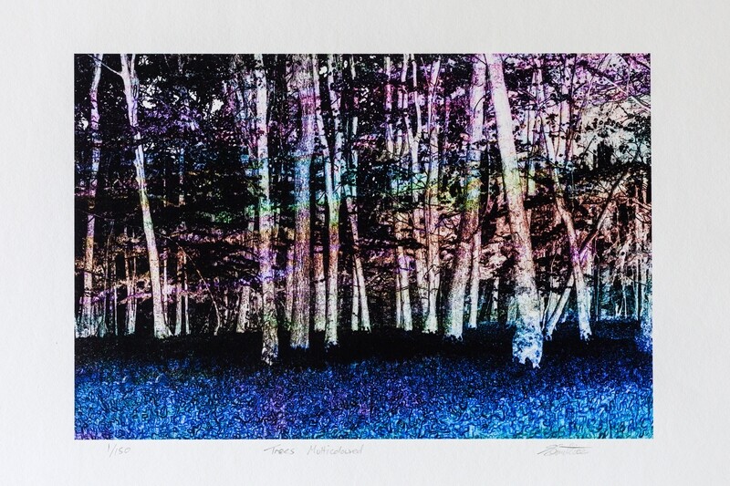 Trees, Multicoloured