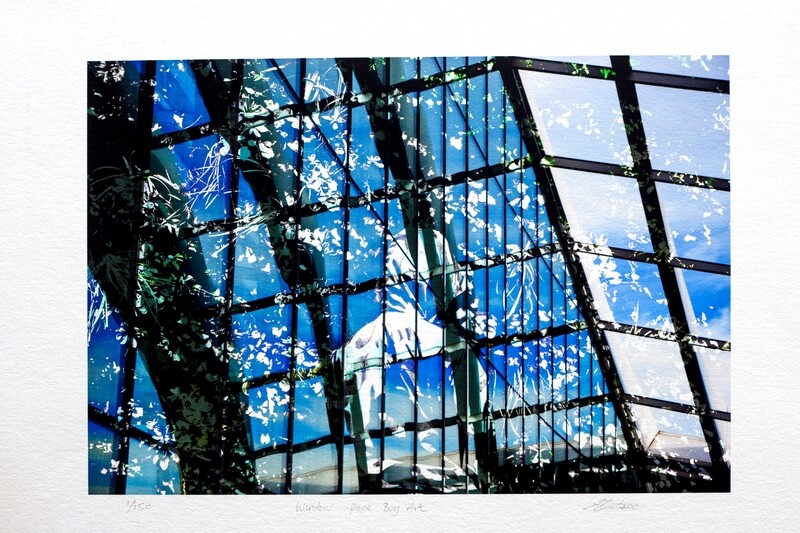 Window Pane Boy