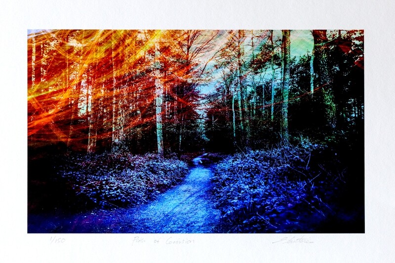 A Path Of Confusion