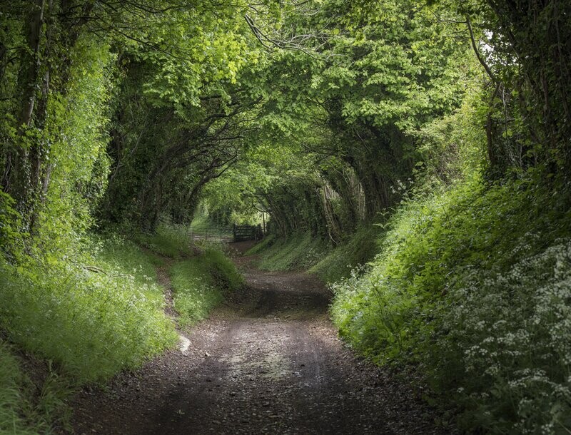 Holloway- West Sussex