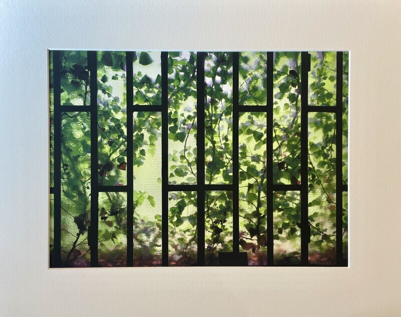 Ivy Obscured Window- Italy