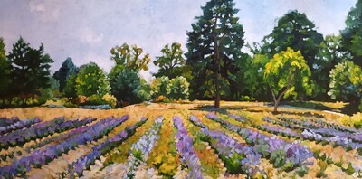English Lavender (framed)