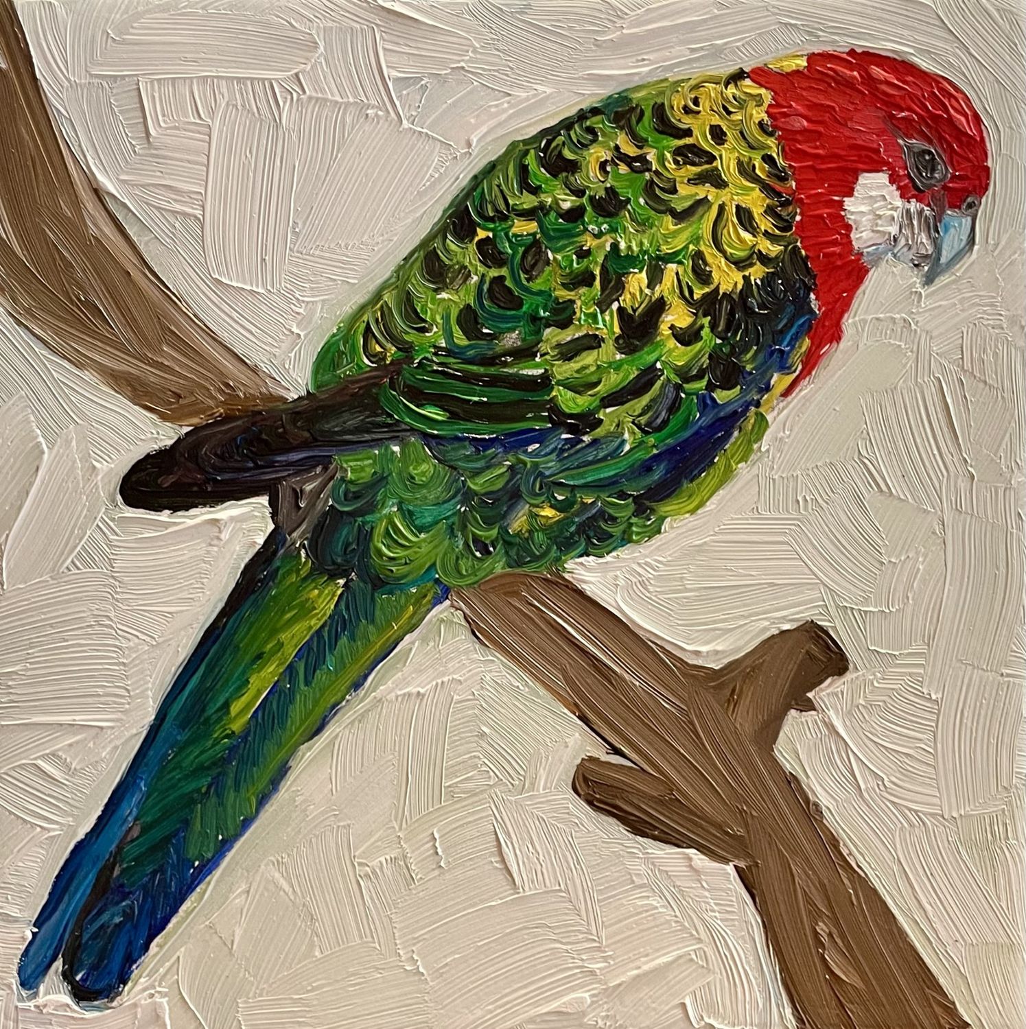 Eastern Rosella Mini