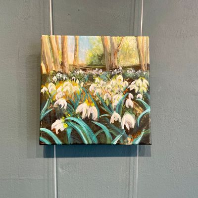 Snowdrop Magic