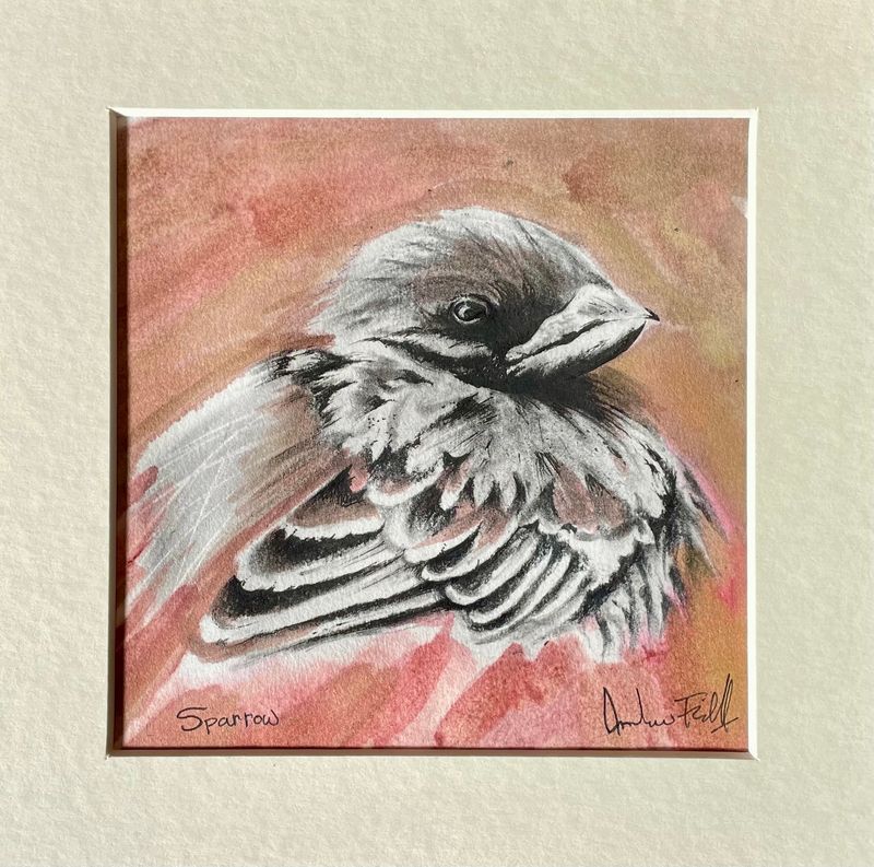 Sparrow