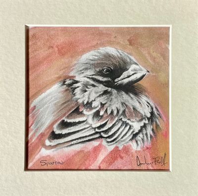 Sparrow