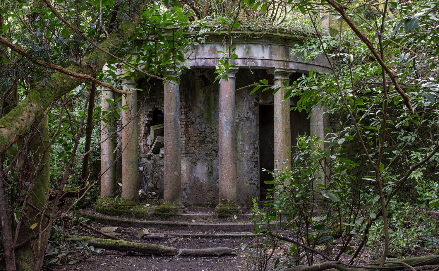 Ruined Colannade