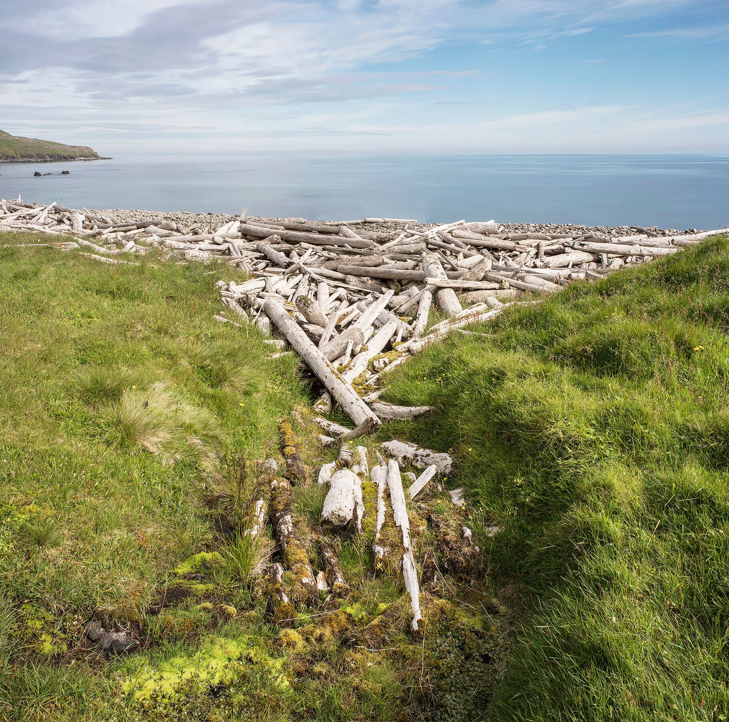 Icelandic Driftwood
