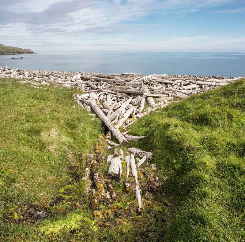 Icelandic Driftwood