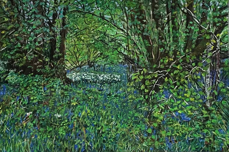 Magical Woodland With Birdsong and Gentle Breeze