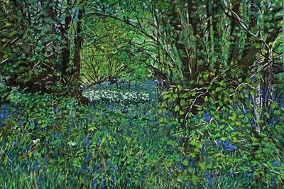 Magical Woodland With Birdsong and Gentle Breeze
