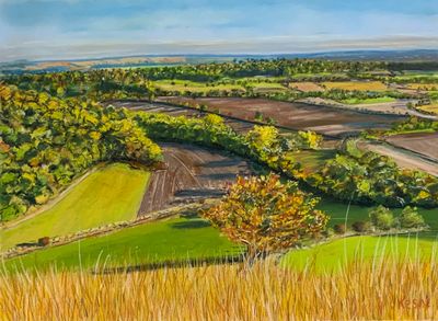 Hill View