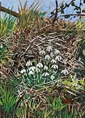 A Nest of Snowdrops