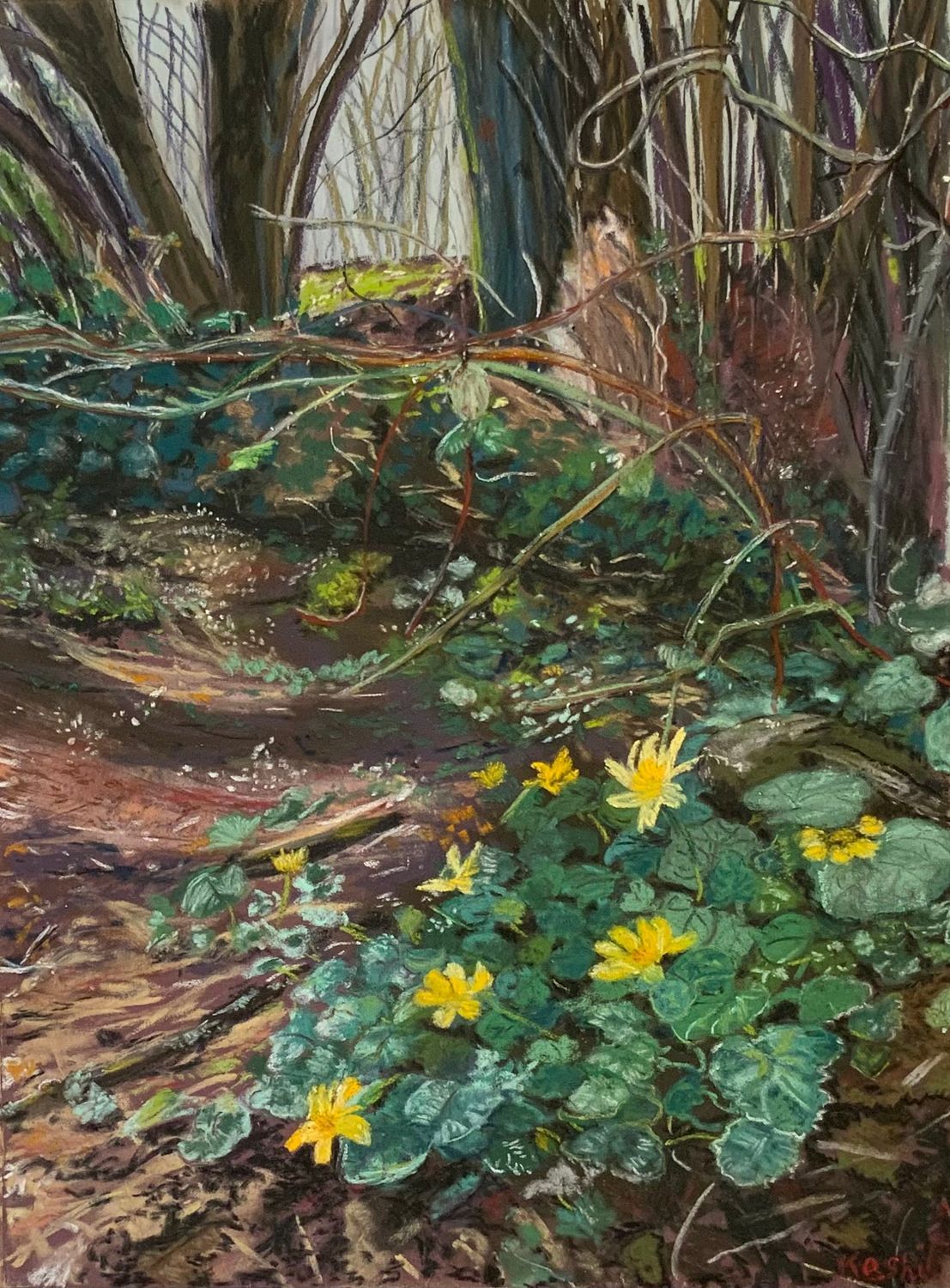 Woodland Celandines