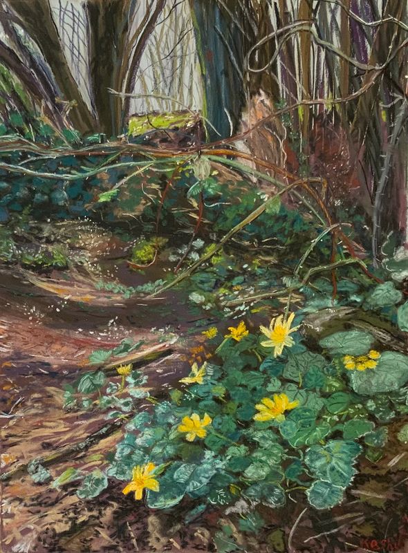 Woodland Celandines