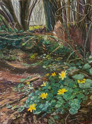 Woodland Celandines
