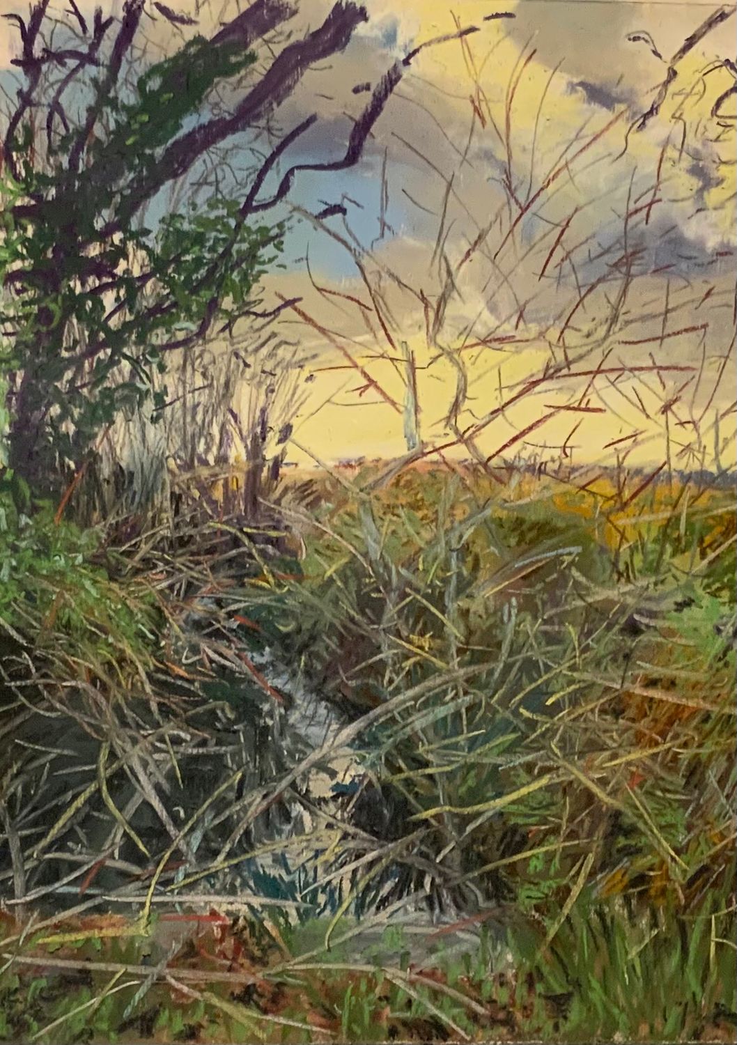 Colourful Ditch