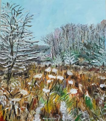 Melting Snow 2