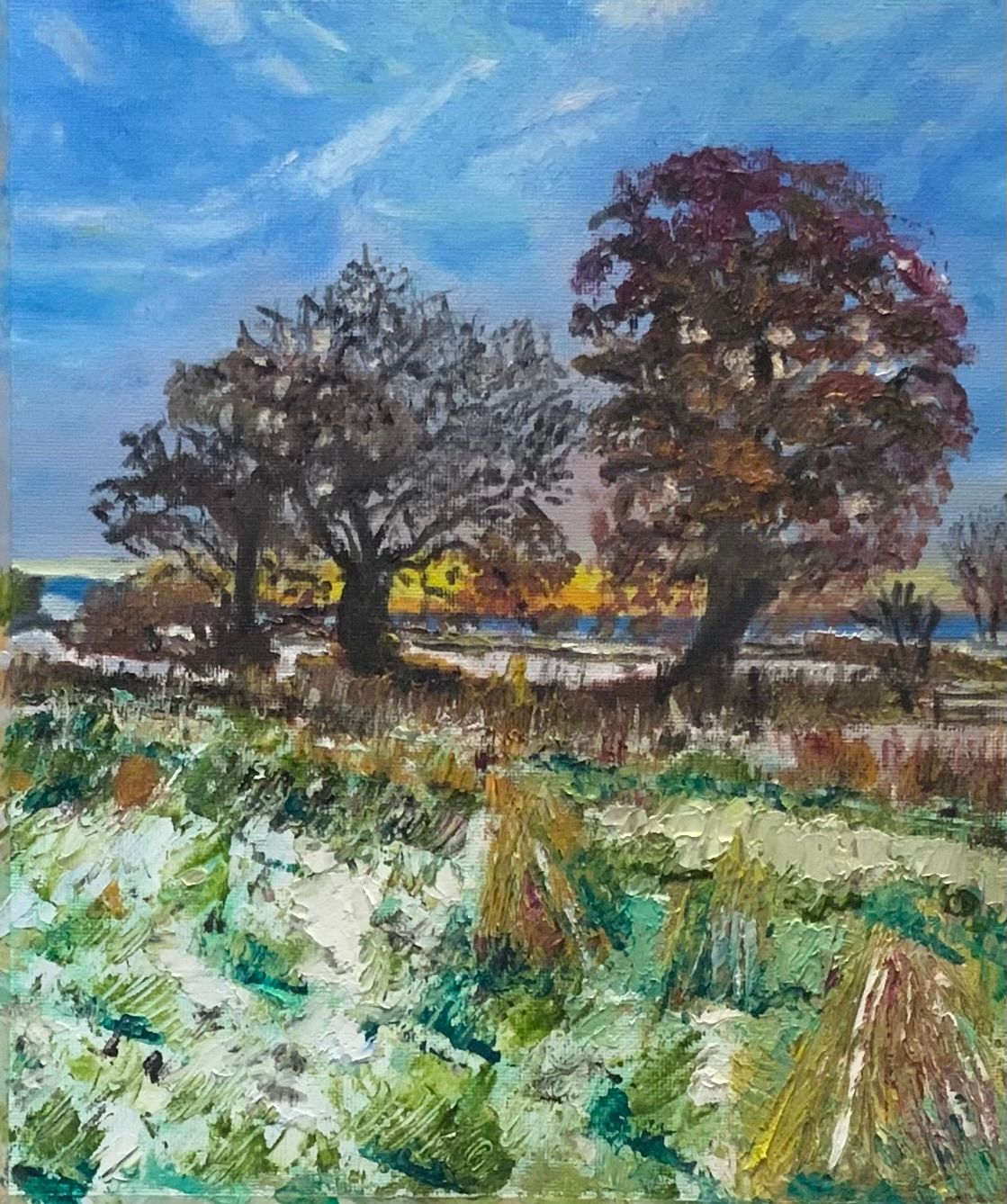 Melting Snow 1