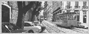 Trams