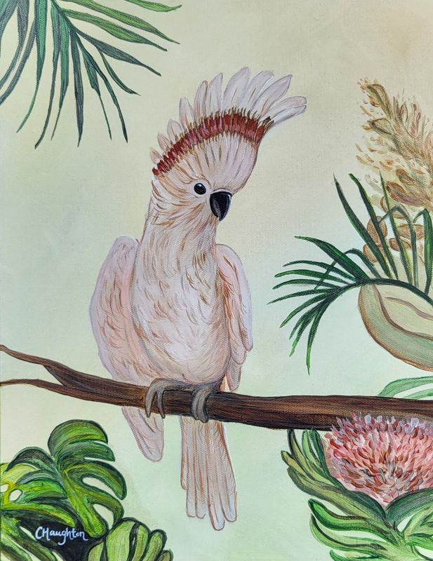 Cockatoo A3