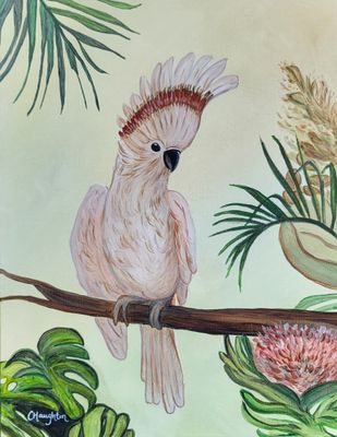 Cockatoo A3