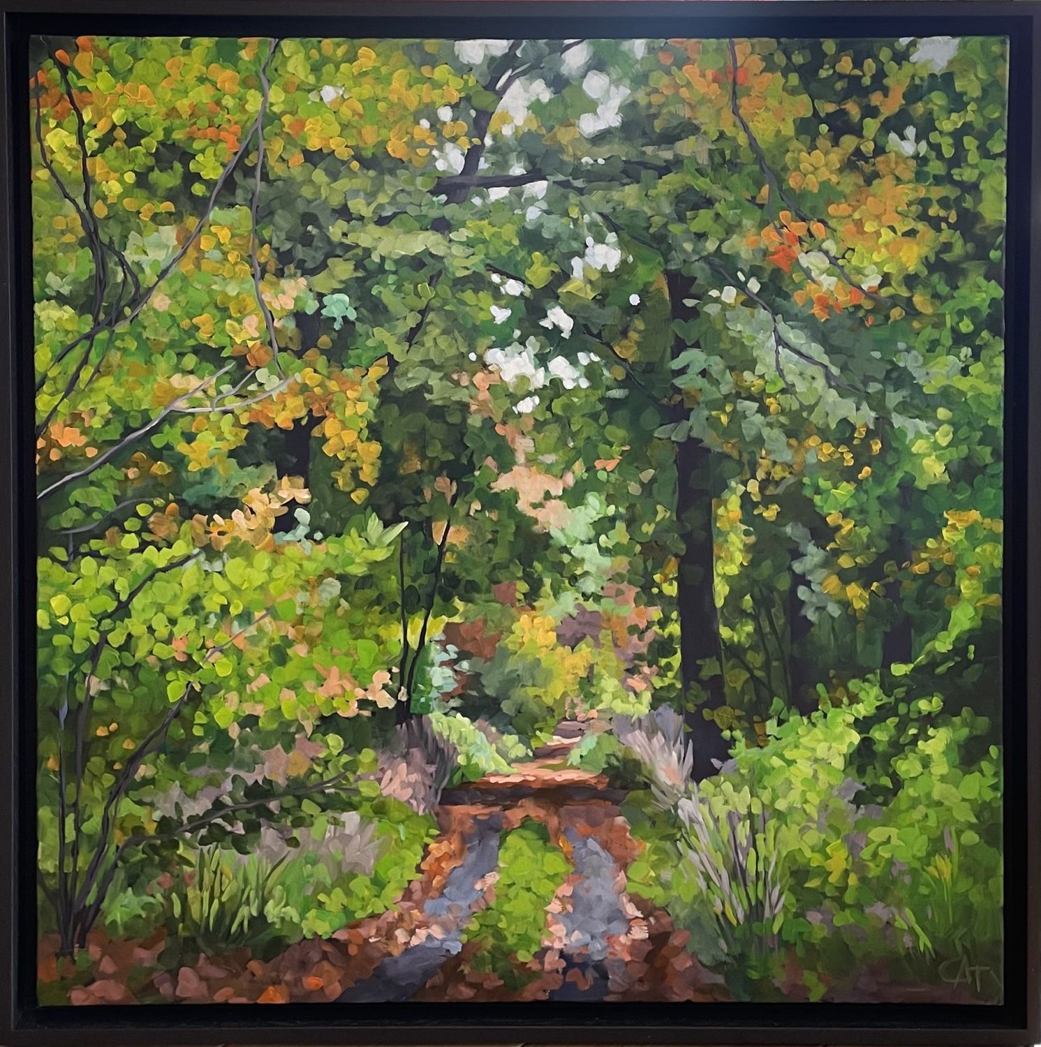 Framed in Light