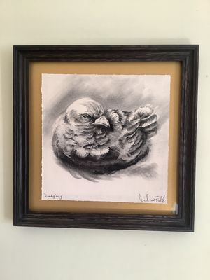 Fledgling 4
