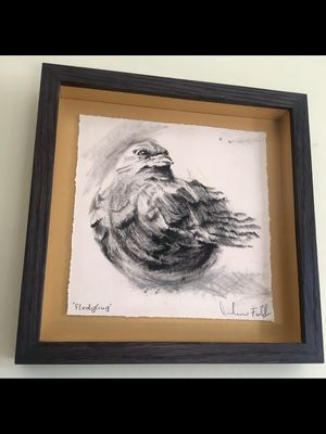 Fledgling 3