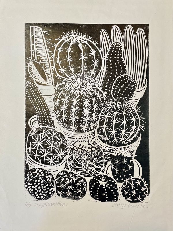 Coryphantha