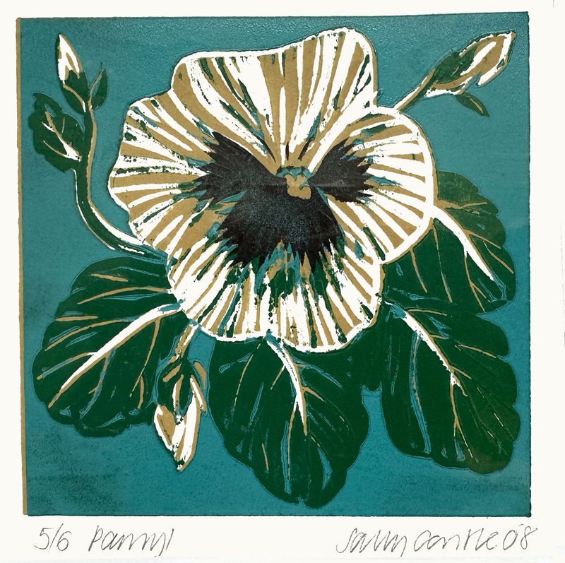 Pansy