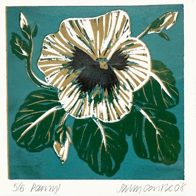 Pansy