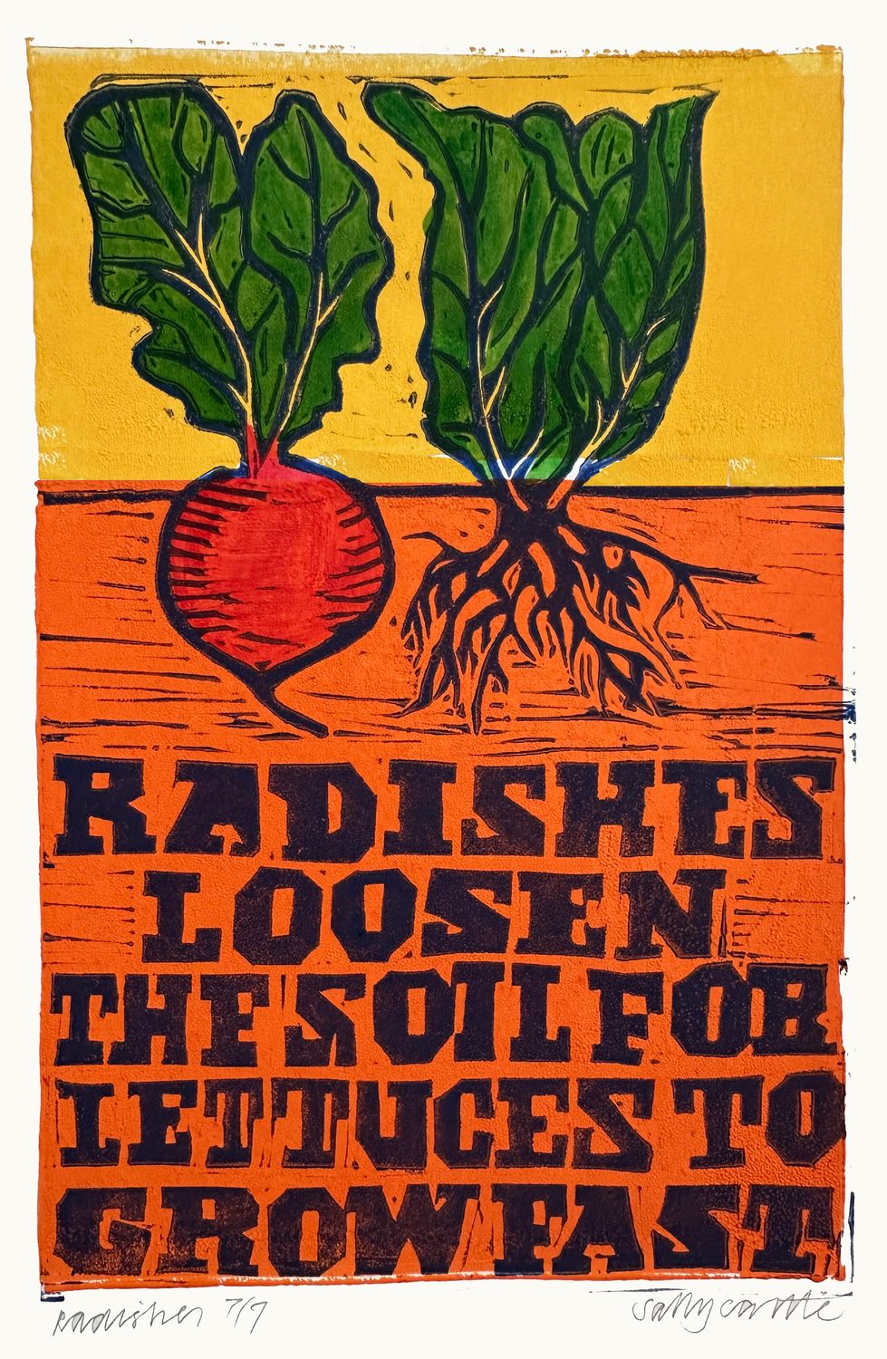 Radishes Loosen The Soil